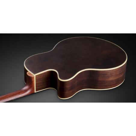 RockBass Alien Hybrid Thinline 1574 90PA SWN FL